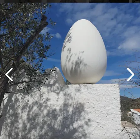 Apartment Cala Montgo *